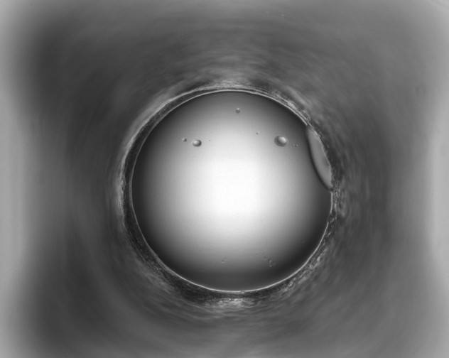 X0000094070152200710261254