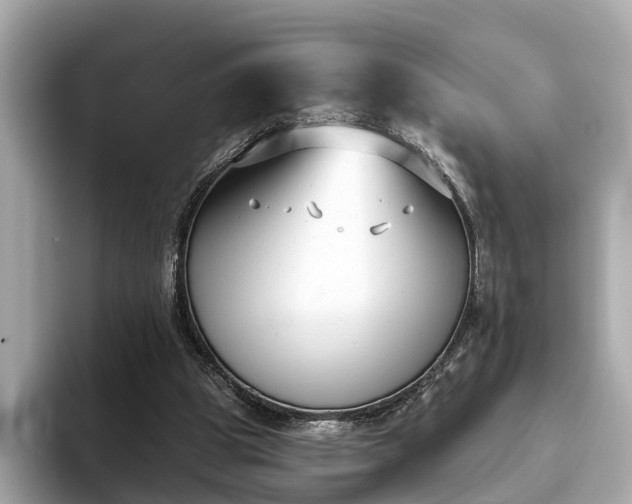 X0000094070153200710261254