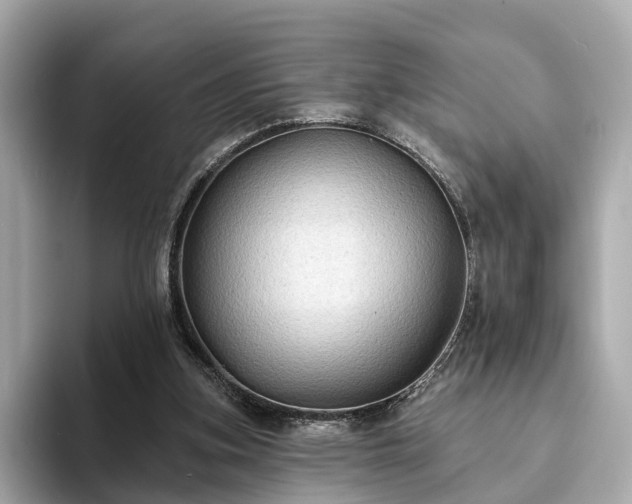 X0000094070155200710261254