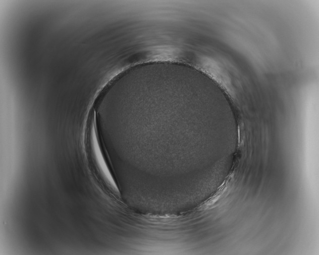 X0000094070156200710261254