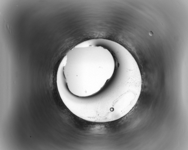 X0000094070162200710261254