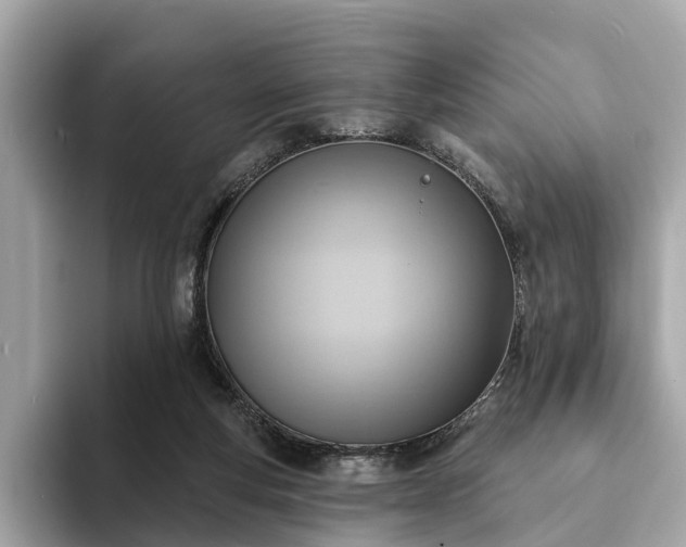 X0000094070163200710261254