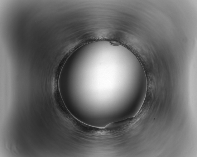 X0000094070164200710261254