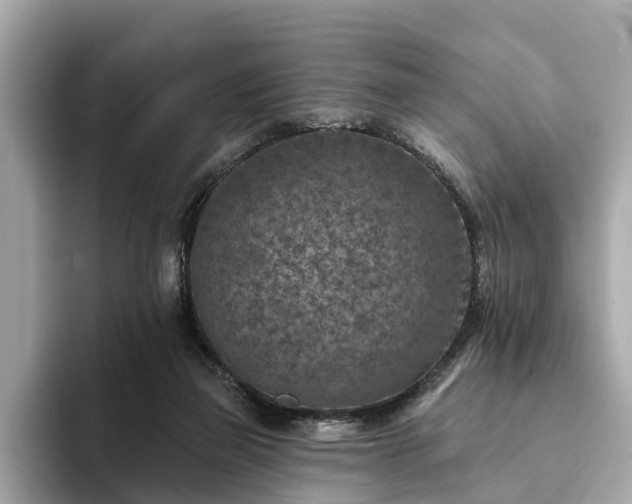 X0000094070165200710261254