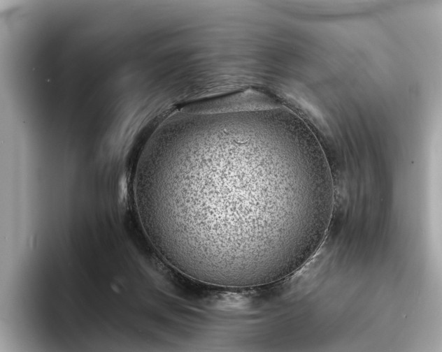 X0000094070166200710261254