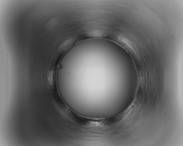 X0000094070167200710261254