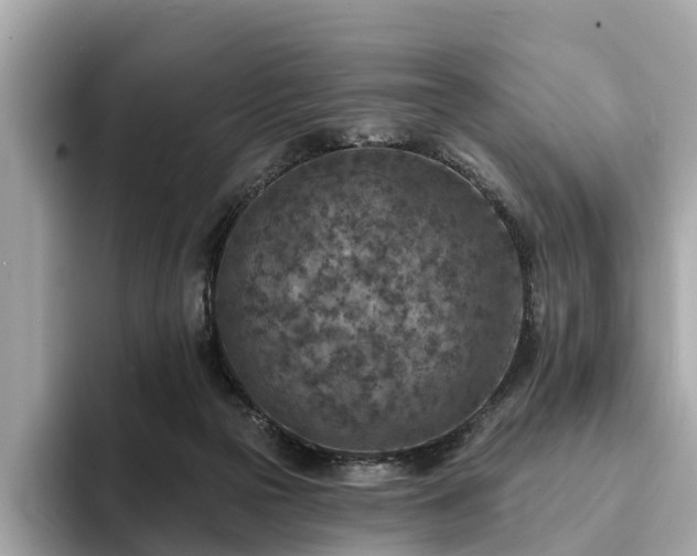 X0000094070169200710261254