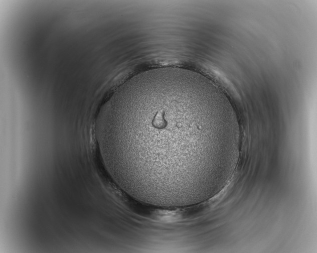 X0000094070170200710261254