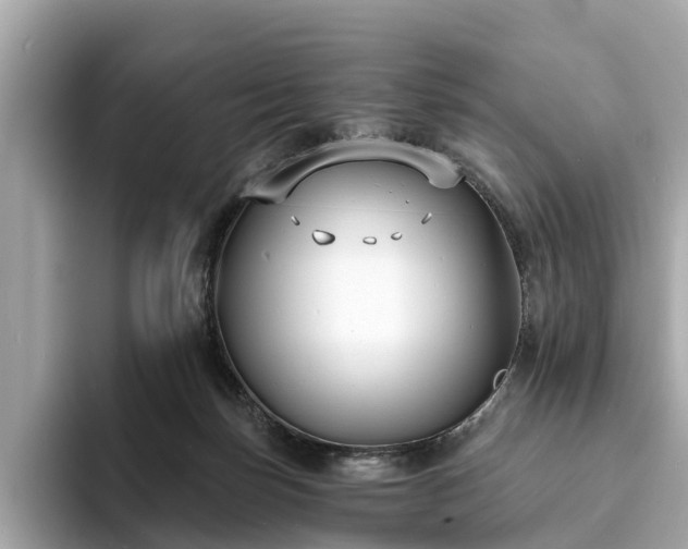 X0000094070171200710261254