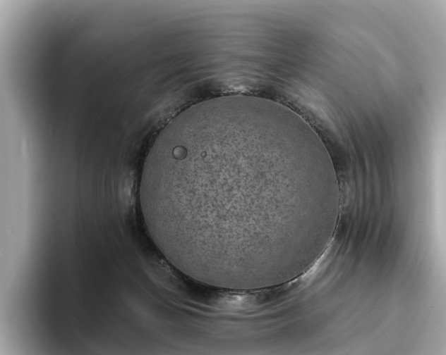 X0000094070174200710261254