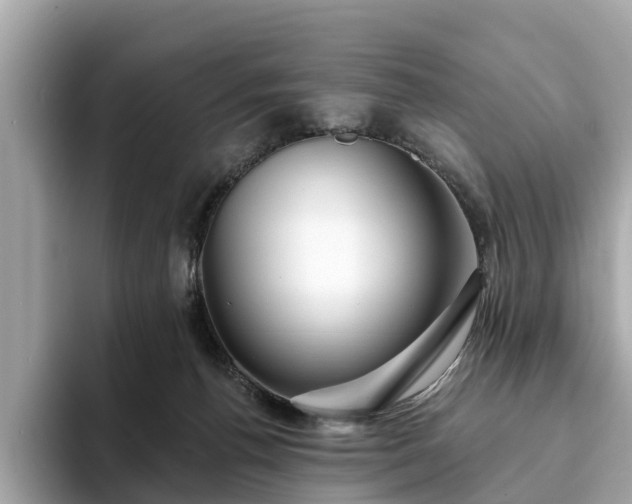 X0000094070176200710261254