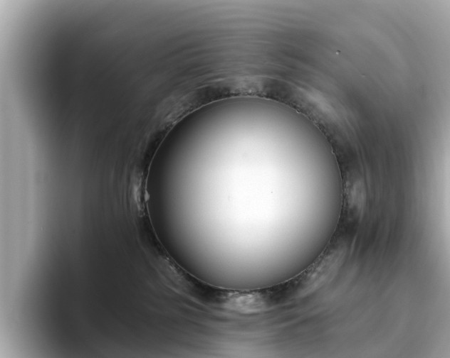 X0000094070185200710261254