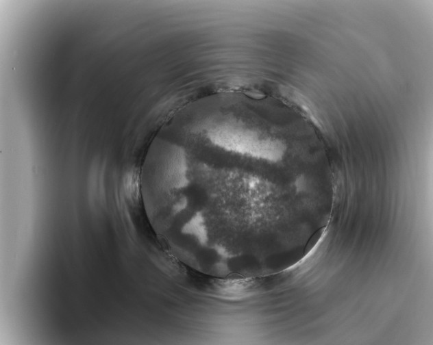 X0000094070191200710261254