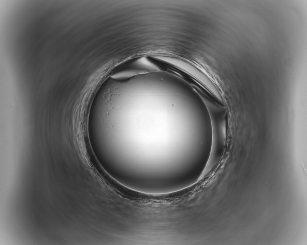 X0000094070193200710261254