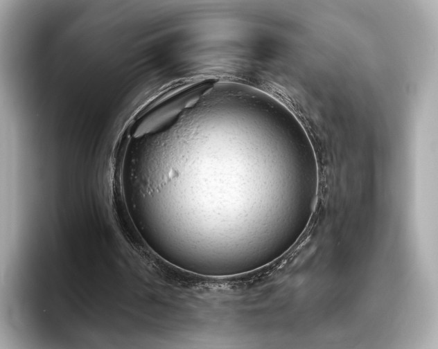 X0000094070194200710261254