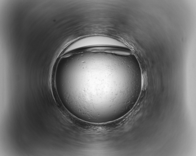 X0000094070195200710261254