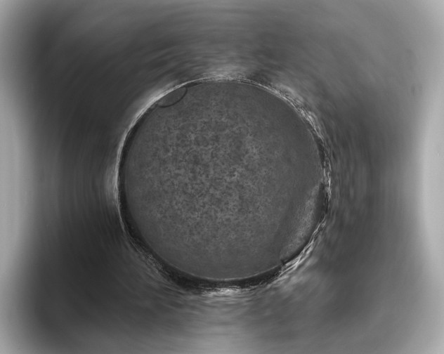 X0000094070196200710261253