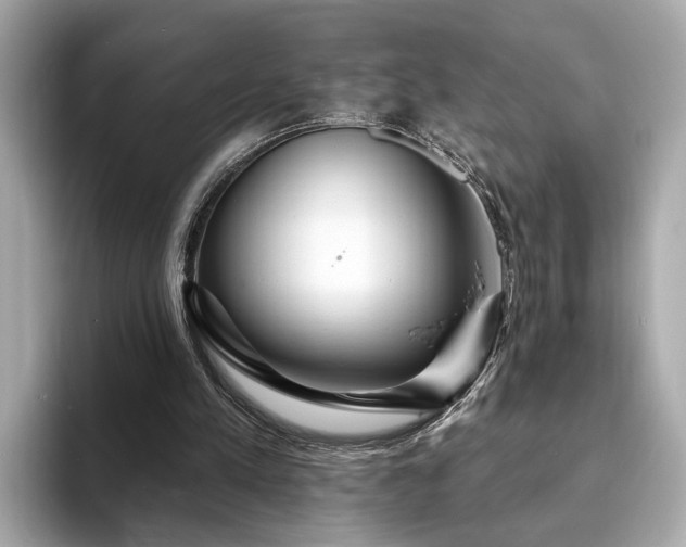 X0000094070197200710261253