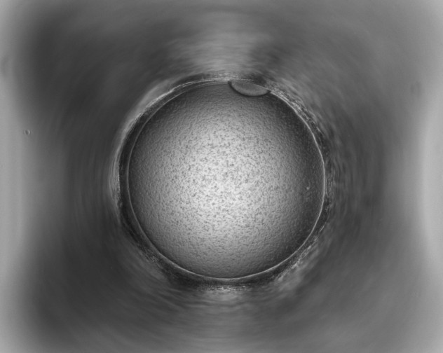 X0000094070198200710261253