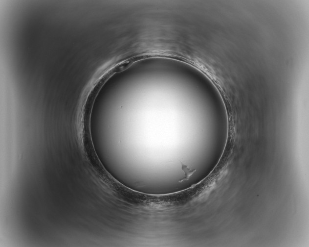 X0000094070199200710261253