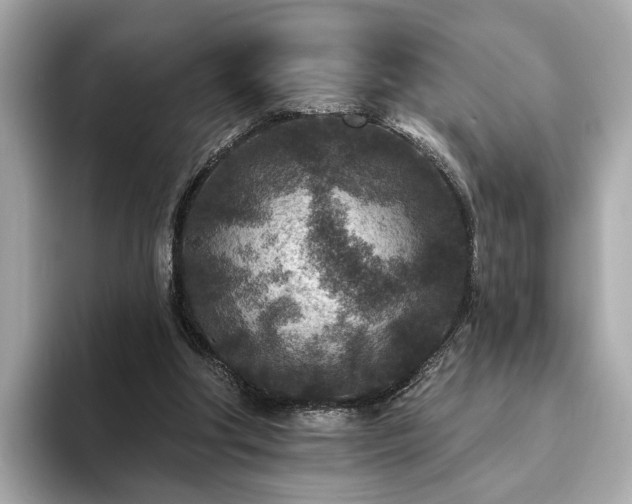 X0000094070202200710261253