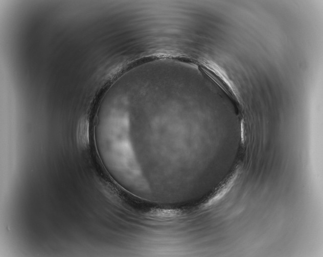 X0000094070205200710261253
