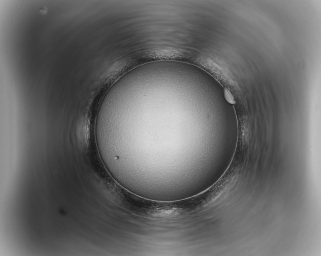 X0000094070206200710261253