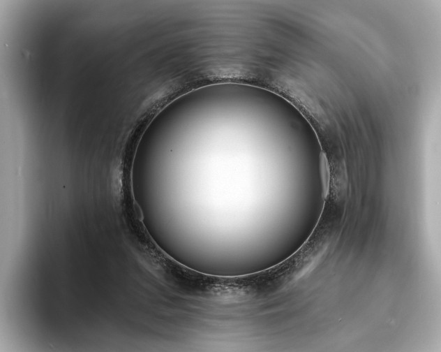 X0000094070207200710261253