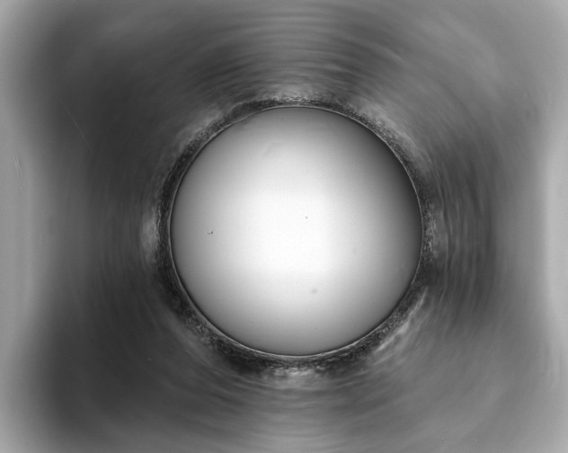 X0000094070208200710261253