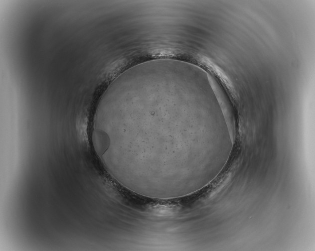 X0000094070209200710261253