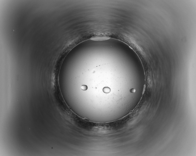 X0000094070211200710261253