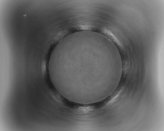 X0000094070213200710261253