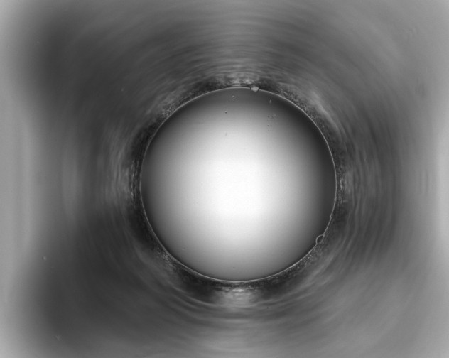 X0000094070218200710261253