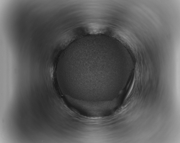 X0000094070219200710261253