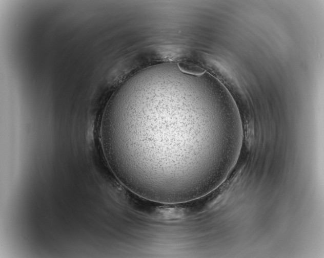 X0000094070221200710261253