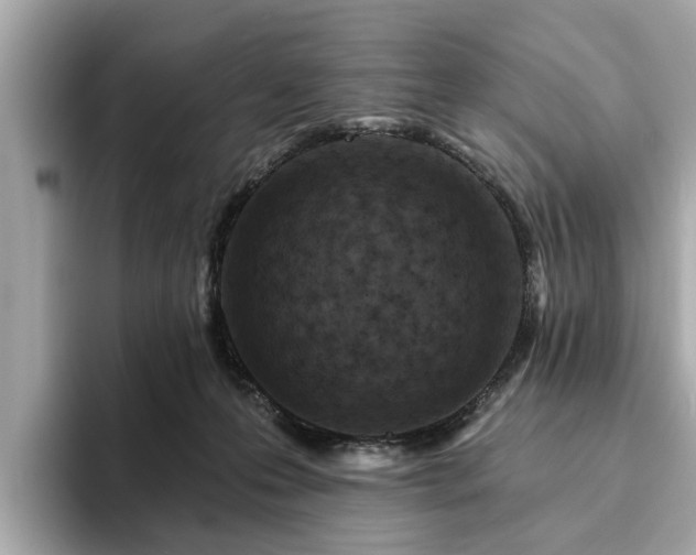 X0000094070223200710261253
