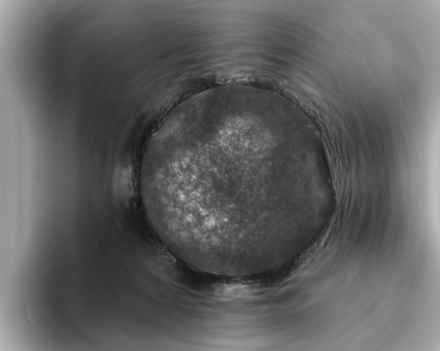 X0000094070224200710261253
