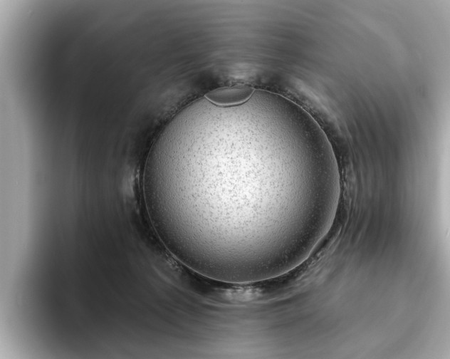 X0000094070225200710261253