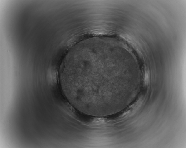 X0000094070227200710261253