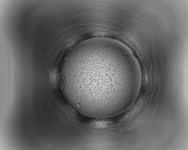 X0000094070228200710261253