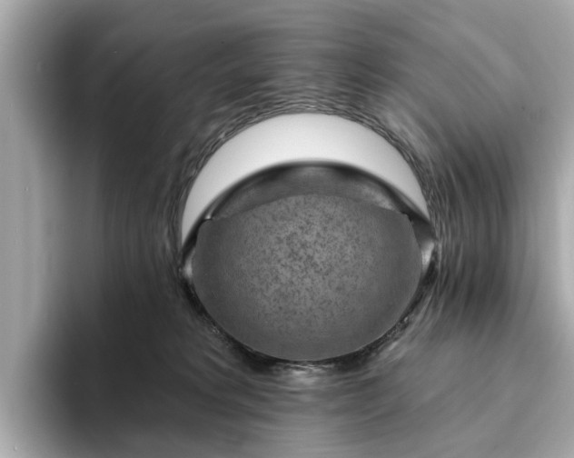 X0000094070229200710261253