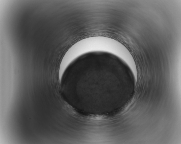 X0000094070235200710261253