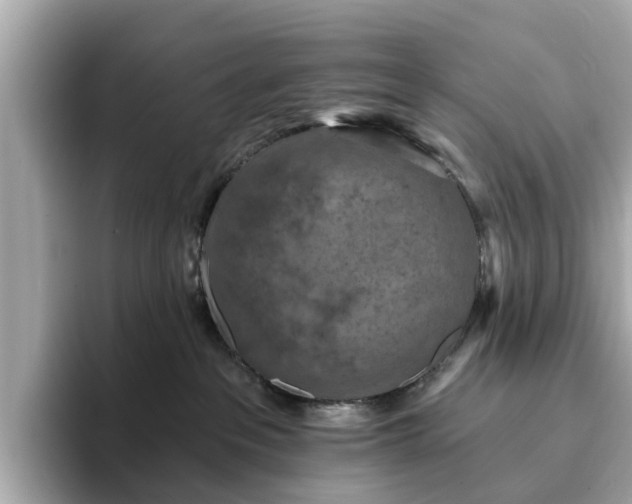 X0000094070237200710261253