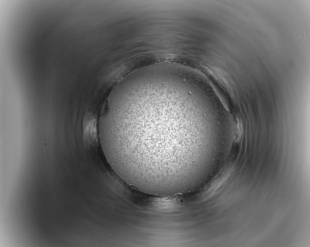 X0000094070238200710261253