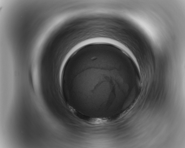 X0000094070239200710261253