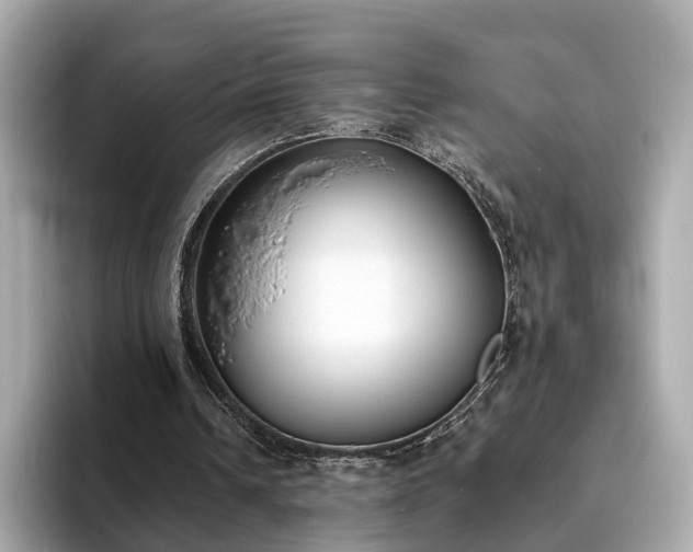 X0000094070242200710261252