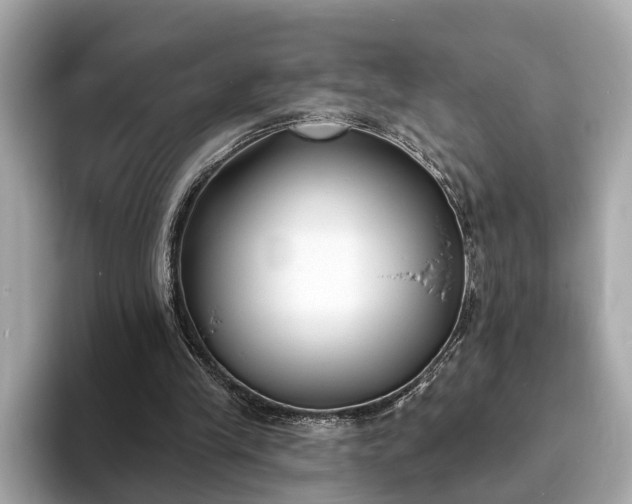X0000094070245200710261252