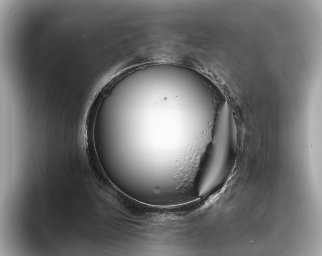 X0000094070246200710261252
