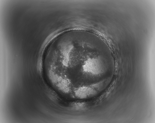 X0000094070247200710261252