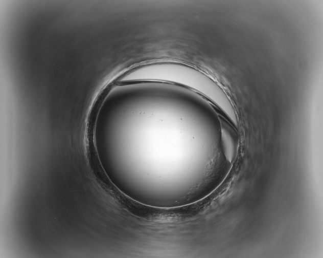 X0000094070248200710261252